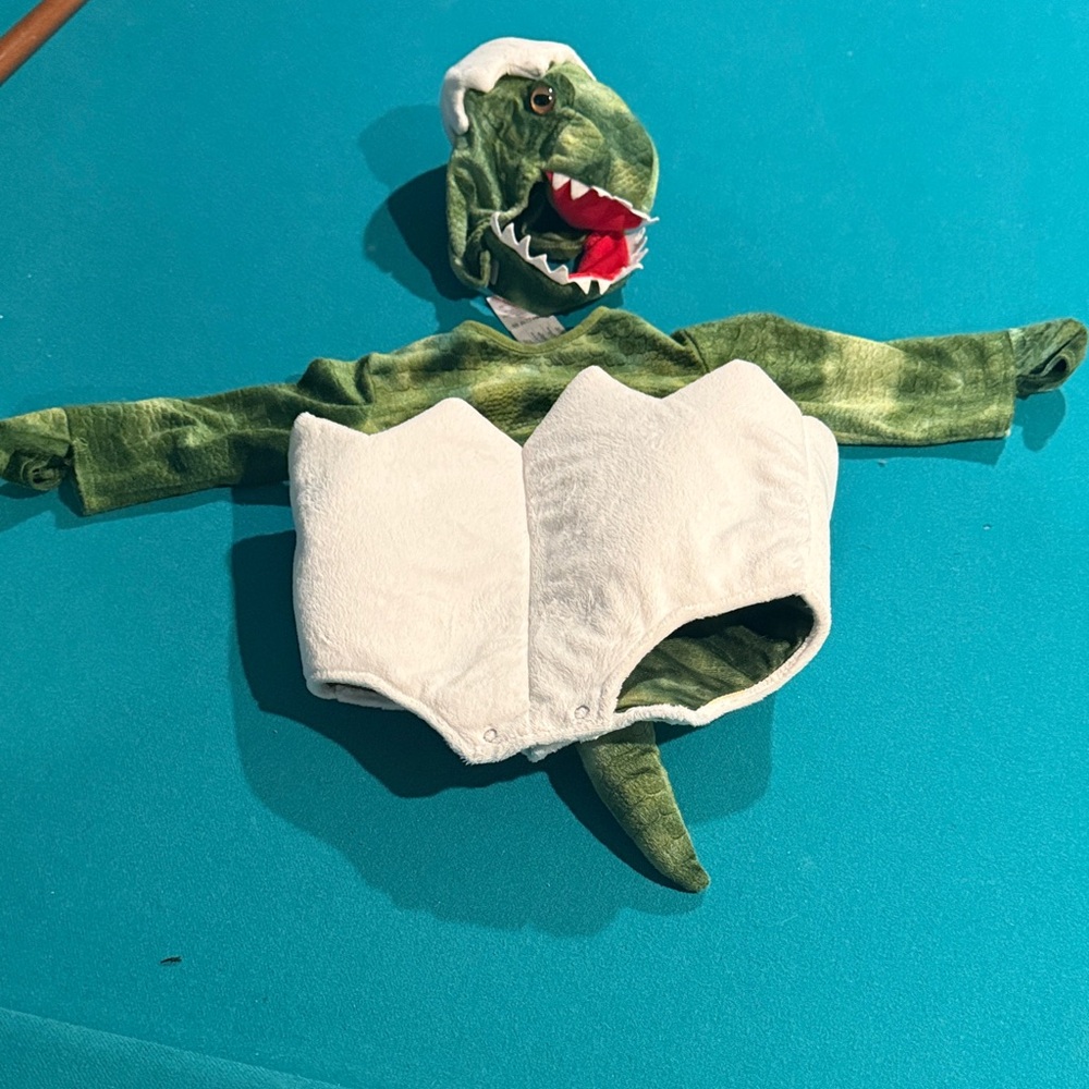 Pottery Barn Kids Green Dinosaur Baby Costume